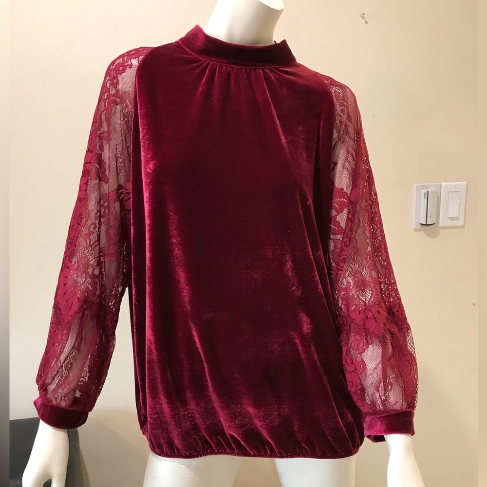 john Mark Women’s velvet top with lace sleeves/Merlot/nwt